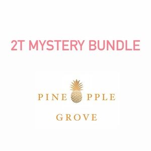 2T Mystery Bundle (Toddler Girl)